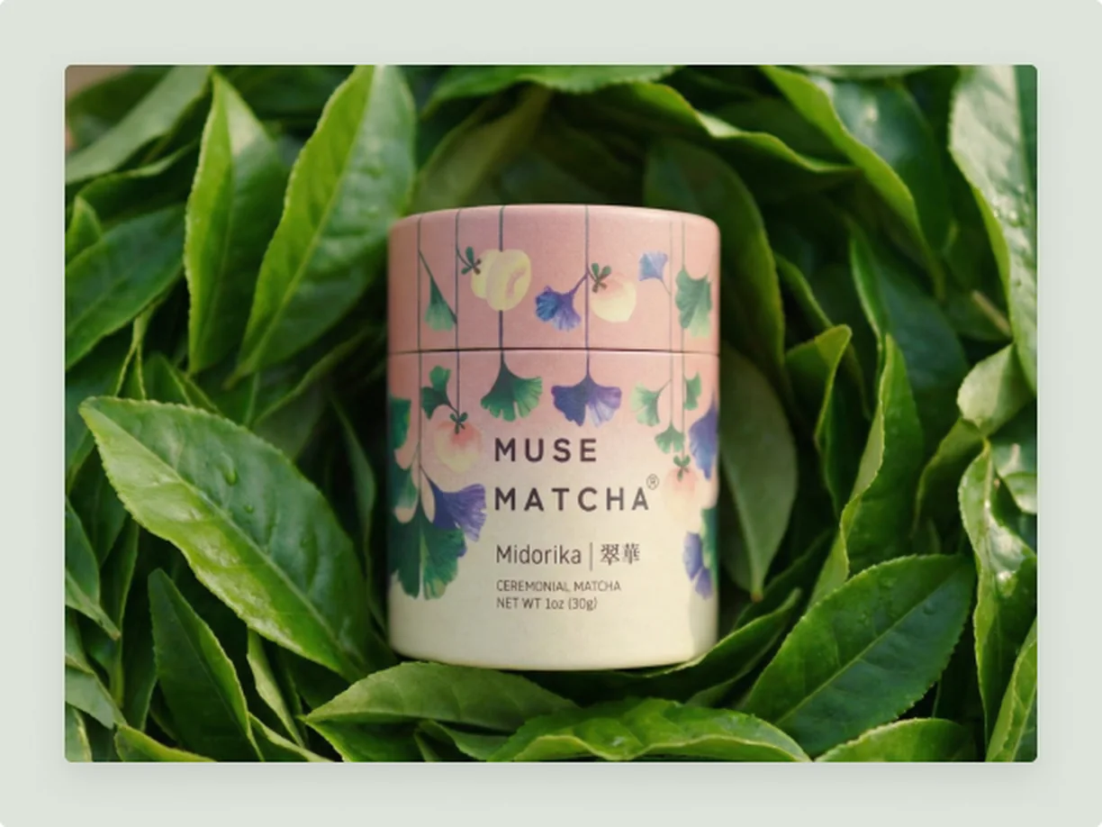 Muse Matcha Branding